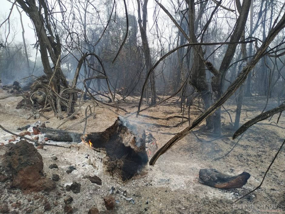 Usina de Nova Andradina leva multa de quase R$ 1 milhão por incêndio em lavoura de cana