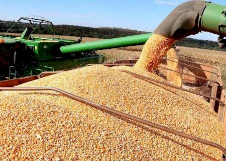 Produção agrícola total do Estado deverá superar os 106,5 milhões de toneladas neste ano