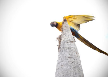 História, trilhas e observação de pássaros: Fundtur explora potenciais de Batayporã