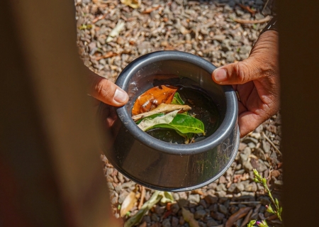 De olho no controle, Saúde antecipa bloqueios contra dengue em Batayporã