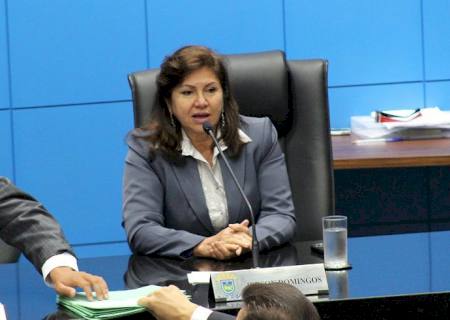 Dione pede recuperação de ponte e pavimentação no Vale do Ivinhema