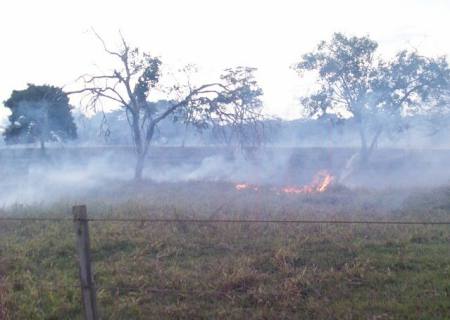 PMA autua pecuarista por incêndio para renovar área de pastagem