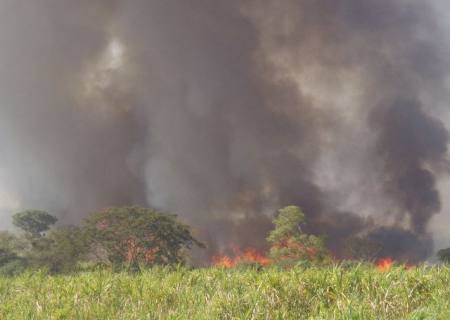 PMA autua usina AdecoAgro em R$ 400 mil por incêndio em cana sem autorização