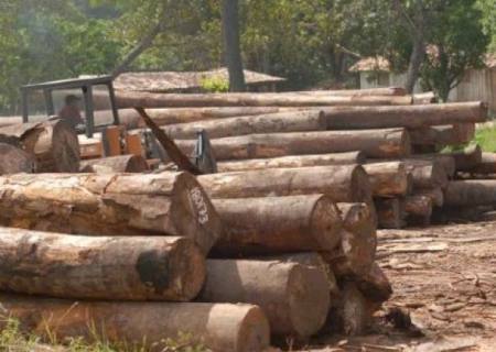 Ibama intensifica combate aos crimes ambientais em MT