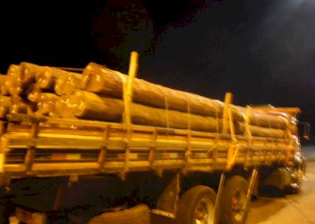 Caminhões com cargas ilegais de madeiras são apreendidos