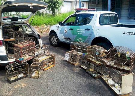Polícia apreende 34 aves e aplica multa