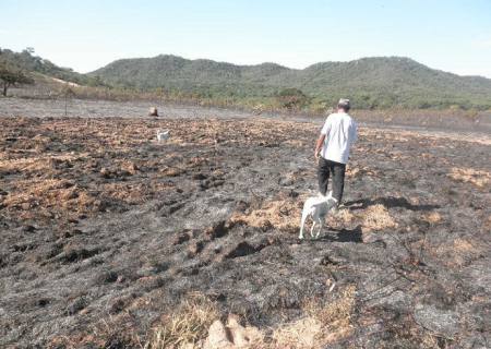 PMA autua assentado por provocar incêndio atingindo propriedades vizinhas