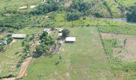 Implementação do Código Florestal ainda é desafio, dizem ONGs