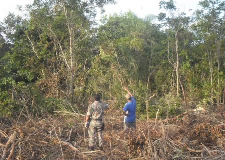 PMA autua arrendatário de fazenda por desmatamento ilegal