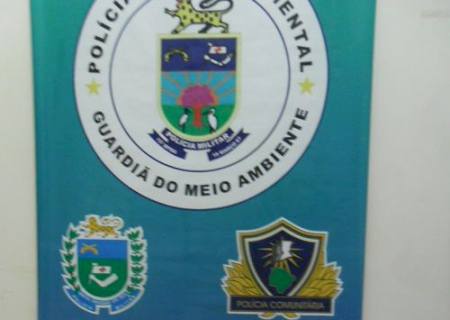 Infrator é autuado por posse de motosserra ilegal