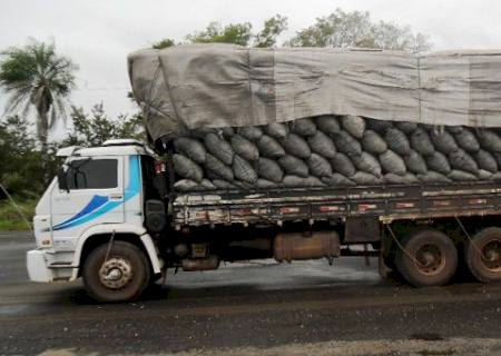 PMA apreende caminhão com carga de carvão ilegal