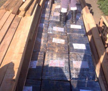 PM apreende 9 toneladas de maconha em SP