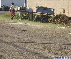 PMA autua carroceiro detido pela PM por despejar lixo em local inadequado