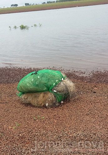 PMA prende dois e autuam outros dois paulistas por pesca ilegal