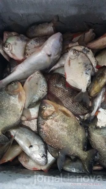 PMA prende dois e autuam outros dois paulistas por pesca ilegal