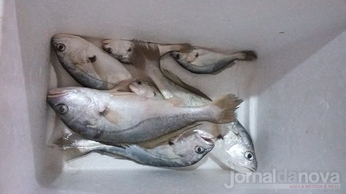 PMA prende dois e autuam outros dois paulistas por pesca ilegal