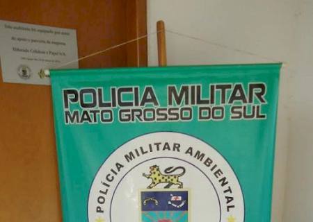 PMA autua infrator por poda radical de árvores