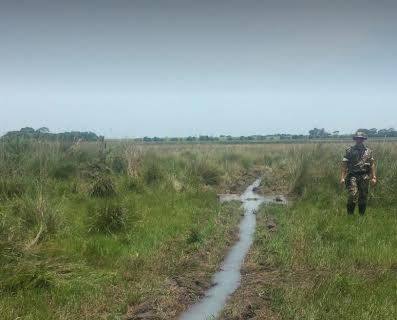 PMA autua fazendeiro por degradação de área de preservação de nascentes