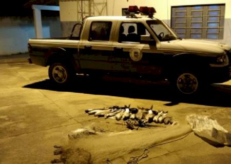 PMA prende vigilante por pescar em piracema