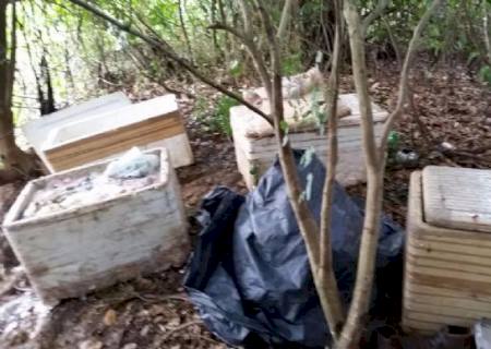 PMA prende pescador com 340 kg de pescado capturados com redes de pesca