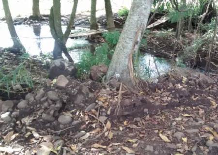 PMA autua advogado por degradar matas ciliares de córrego em sua fazenda