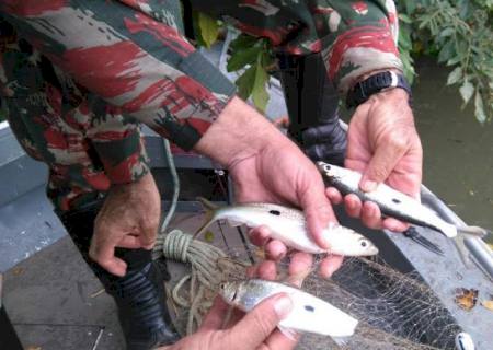 PMA autua oito por pesca ilegal e apreende 1 km de redes de pesca