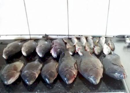 PMA autua pescador por pesca ilegal em MS