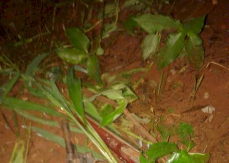 Menor morre durante assalto na fronteira