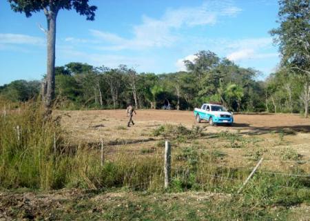 Quatro cidades do Vale do Ivinhema estão na Operação Cachorro-Vinagre