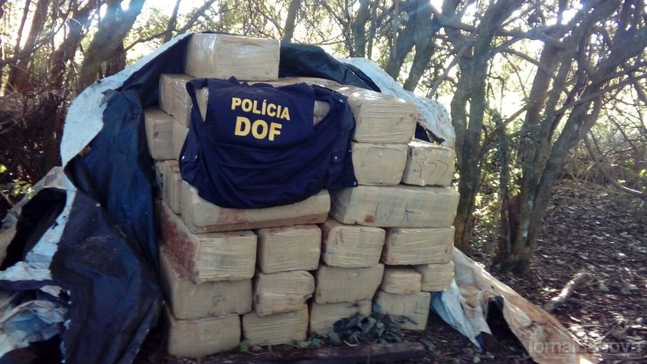 Após denúncia, DOF descobre 2,5 ton de maconha escondida em chácara