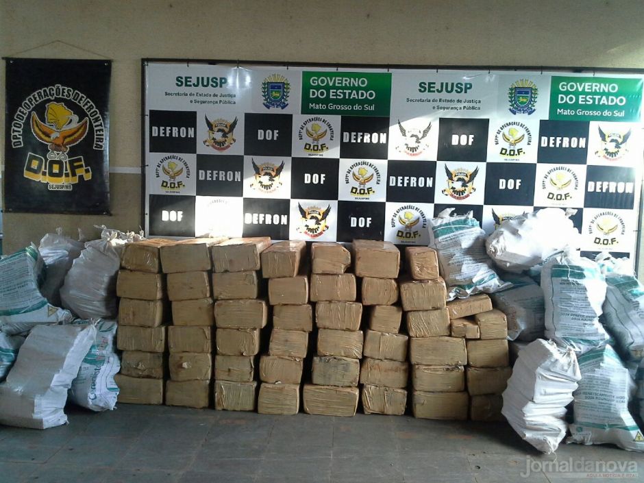 Após denúncia, DOF descobre 2,5 ton de maconha escondida em chácara