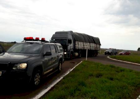 DOF recupera caminhão roubado transportando mais de 1,6 ton de drogas