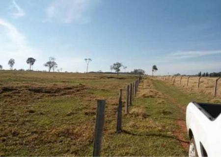 Leilão de área rural em Nova Andradina
