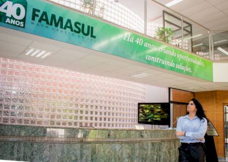 Candidata propõe eleições gerais na Famasul