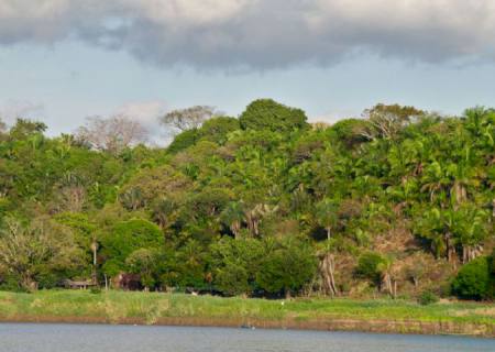 Para 27% dos brasileiros, desmatamento é maior ameaça ao meio ambiente
