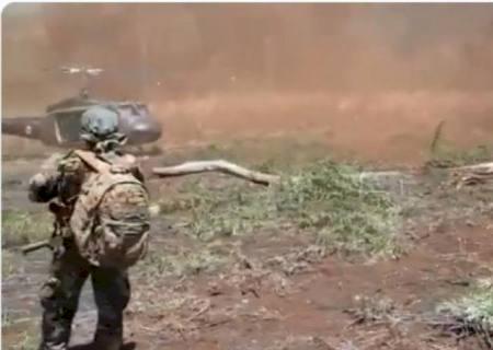 Cerca de 303 toneladas de plantação maconha são destruídas em operação na fronteira