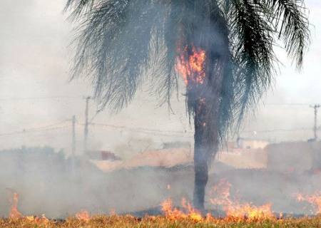 Queimada urbana é crime e pode dar multa e detenção