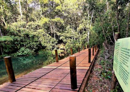 Parques estaduais preservam nascentes d’água que contam história de Campo Grande