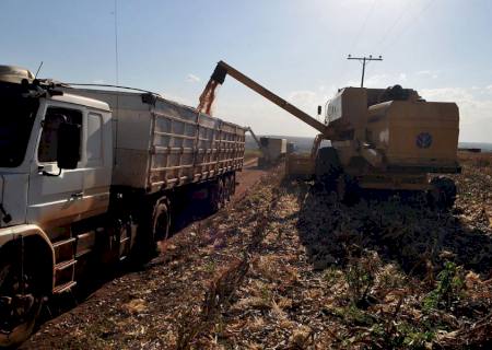 Mudança climática ameaça produção de alimentos, alerta ONU