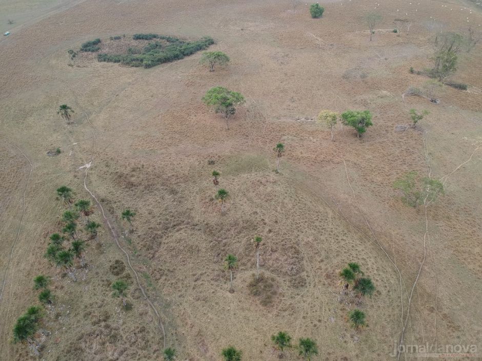 Polícia Ambiental de Batayporã autua paranaense por desmatamentos ilegais