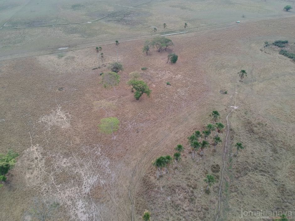 Polícia Ambiental de Batayporã autua paranaense por desmatamentos ilegais