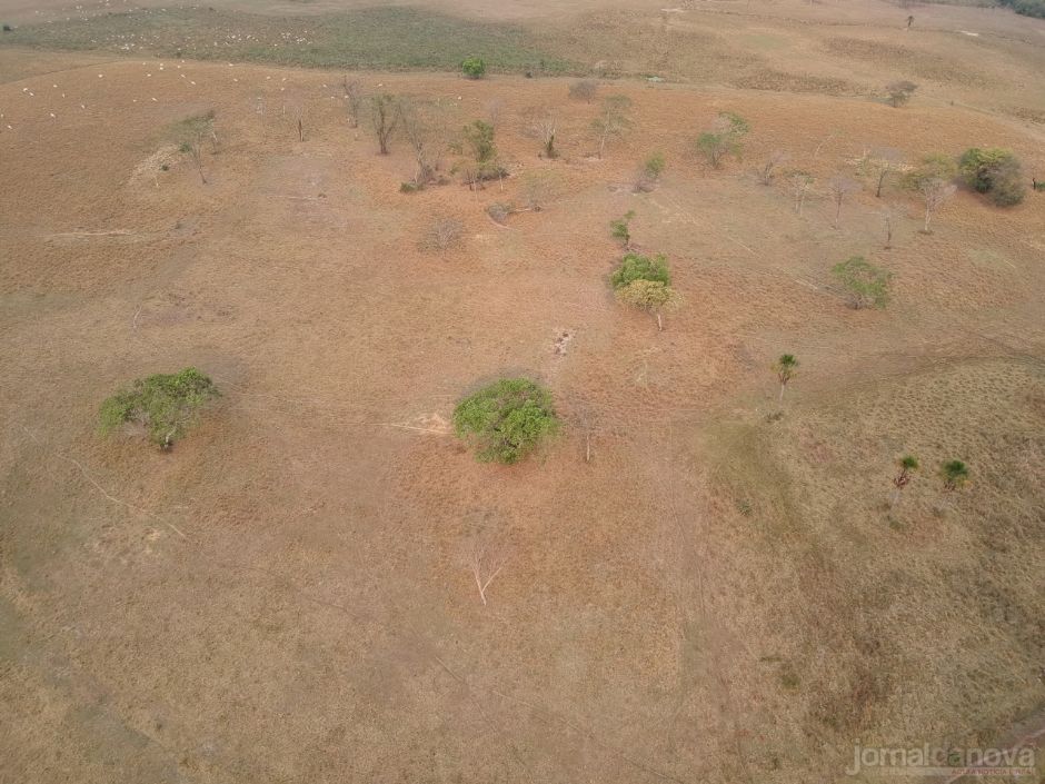 Polícia Ambiental de Batayporã autua paranaense por desmatamentos ilegais