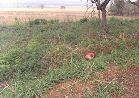 Corpo é encontrado às margens da BR-267 em Nova Casa Verde