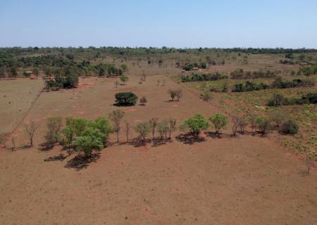 Assentado da Teijin é multado em R$ 6 mil por crime ambiental