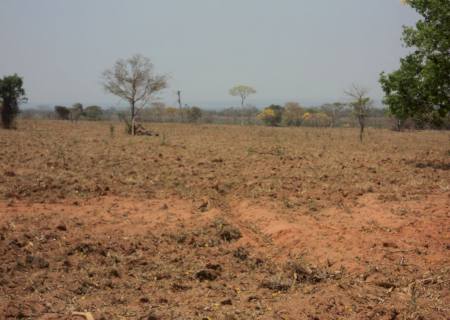 Em Bataguassu, desmatamentos ilegais geram R$ 318,5 mil em multas para dois infratores