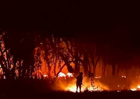 Ossada humana é encontrada após incêndio em terreno na Capital