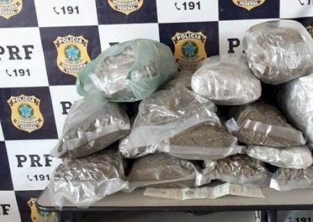 Adolescente é apreendido em MS tentando levar haxixe para Santa Catarina