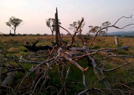 Cinco fazendeiros são autuados em R$ 283,3 mil por desmatamentos ilegais