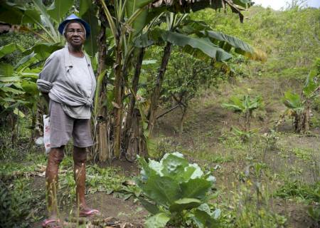 IBGE: campo está mais feminino e mais velho