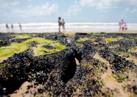 Governo libera R$ 130 milhões para seguro-defeso a pescadores do Nordeste